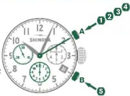 Shinola The Birdy - 例 - 1