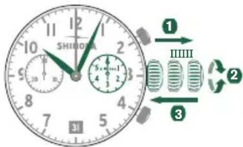 Shinola The Birdy - SETTING THE TIME - 1