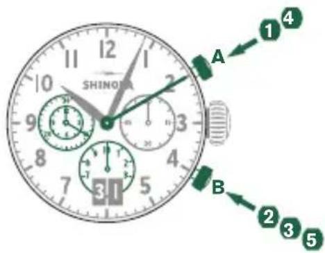 Shinola The Birdy - Example - 1