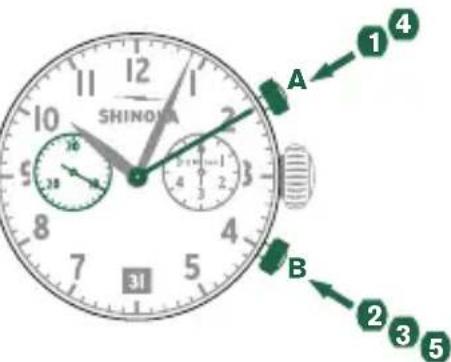 Shinola The Birdy - Conformación del tiempo medido: - 1
