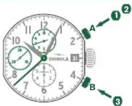 Shinola The Birdy - Ejempio - 1