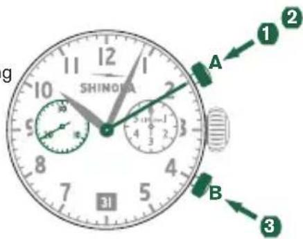 Shinola The Birdy - Beispiel - 1