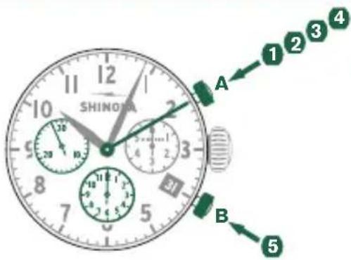 Shinola The Birdy - Example - 1