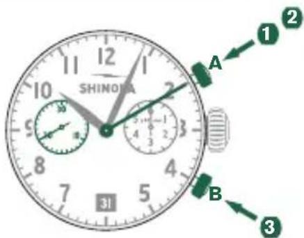 Shinola The Birdy - 基本功能（开始/停止/重置） - 1