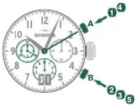 Shinola The Birdy - 请注意： - 1