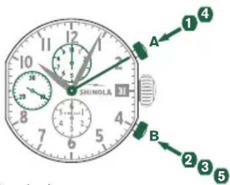 Shinola The Birdy - Beispiel - 1