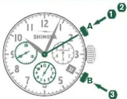 Shinola The Birdy - Example - 1