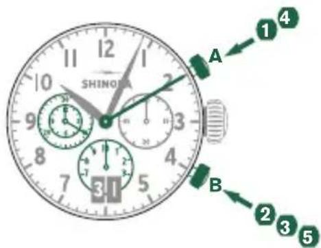 Shinola The Birdy - 例 - 1