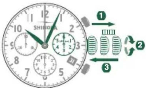 Shinola The Birdy - CONFIGURACION DE LA HORA - 1