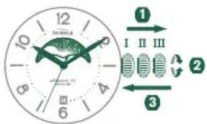 Shinola The Birdy - SETTING THE MOON PHASE - 1
