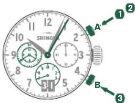 Shinola The Birdy - Beispiel - 1