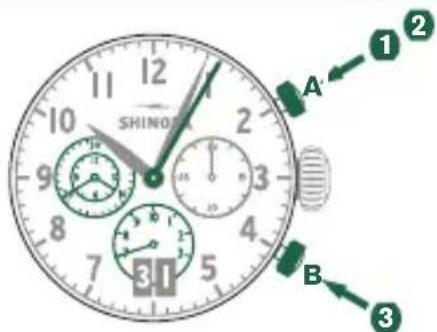 Shinola The Birdy - 例 - 1