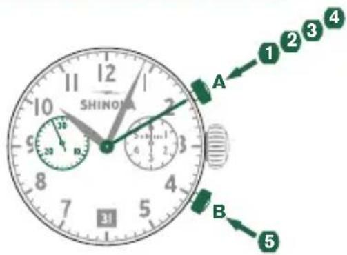 Shinola The Birdy - Beispiel - 1