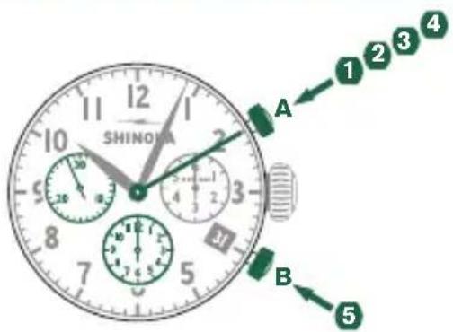 Shinola The Birdy - Beispiel - 1