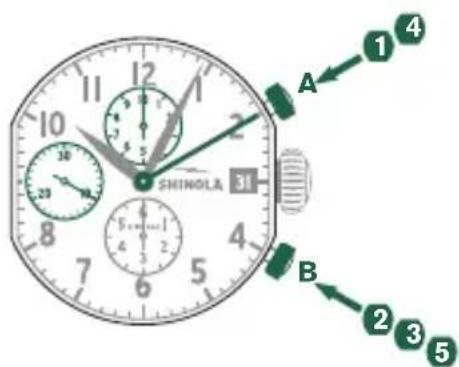 Shinola The Birdy - Ejempio - 1