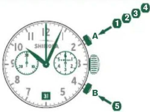 Shinola The Birdy - Example - 1