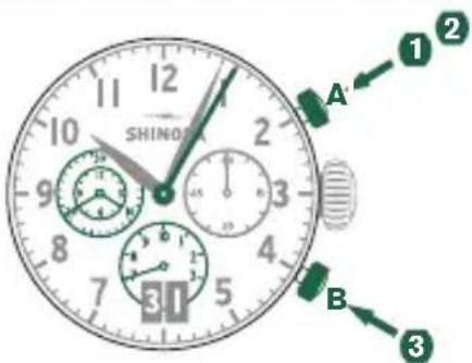 Shinola The Birdy - Ejempio - 1