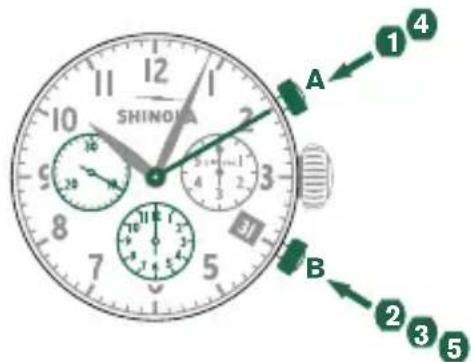 Shinola The Birdy - Example - 1