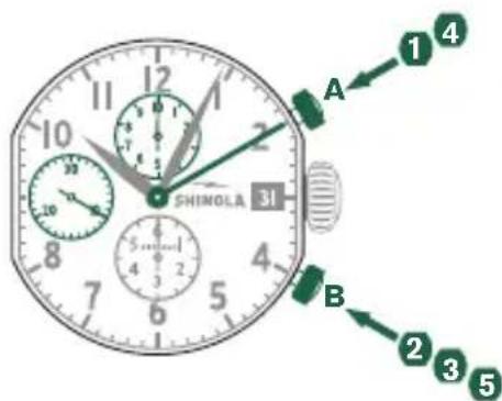 Shinola The Birdy - 例 - 1