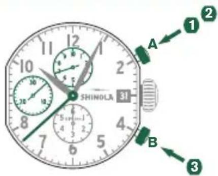 Shinola The Birdy - Example - 1