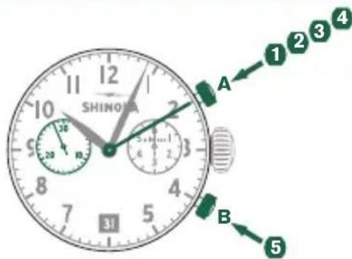Shinola The Birdy - MESURE Du temps accumule - 1