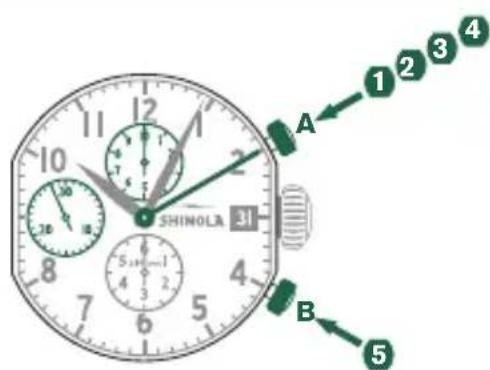 Shinola The Birdy - Beispiel - 1