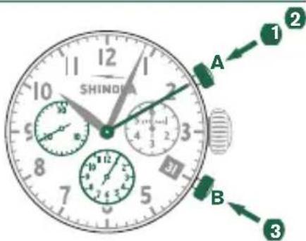 Shinola The Birdy - Beispiel - 1