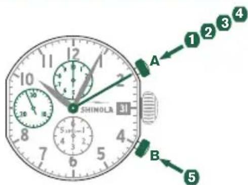Shinola The Birdy - Ejempio - 1