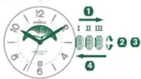 Shinola The Birdy - ムーニフロー(月齢)の設定 - 1