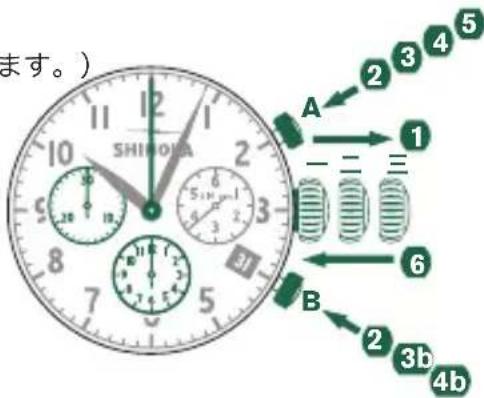 Shinola The Birdy - 口不格拉夫針をご口に調整 - 1