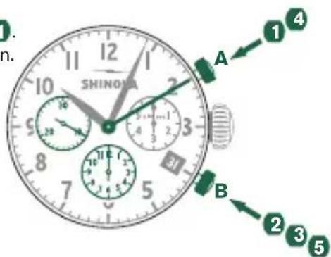 Shinola The Birdy - MESURE du temps intermédiaire ou à intervalles - 1
