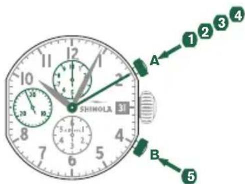 Shinola The Birdy - 例 - 1