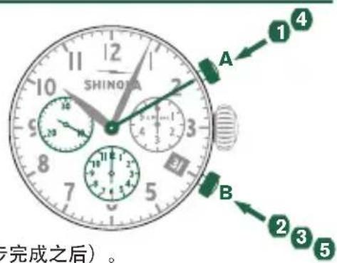 Shinola The Birdy - 中间或间隔计时 - 1
