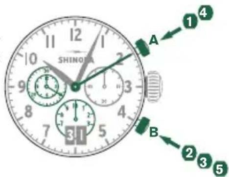 Shinola The Birdy - MESURE Dutemps intermédiaire ou à intervalles - 1