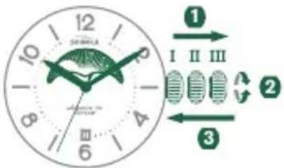 Shinola The Birdy - MONDPHASE EINSTELLLEN - 1