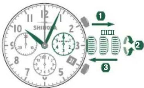 Shinola The Birdy - 设定时间 - 1