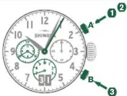 Shinola The Birdy - 示例 - 1