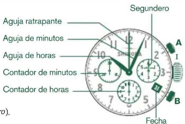 Shinola The Birdy - Tenga enIELD lo seguiente: - 1
