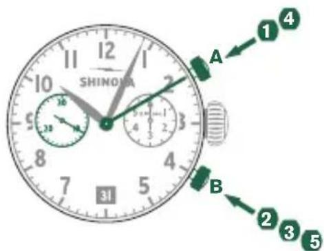 Shinola The Birdy - 中间或间隔计时 - 1