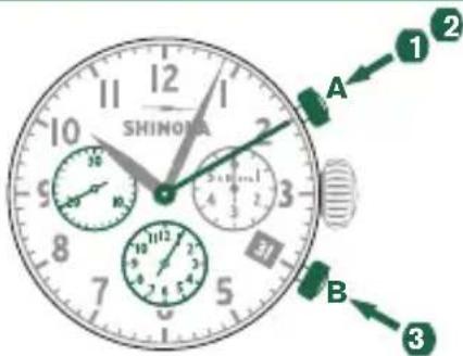 Shinola The Birdy - Fonctions de BASE (demarer / arréter / reinitialiser) - 1