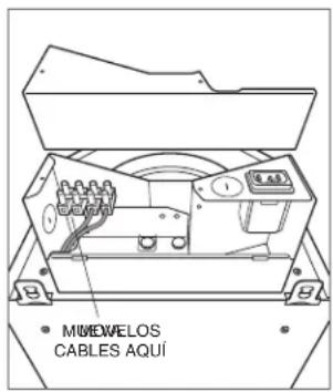WOLF VW36S - CABLEADO DEL EXTRACTOR EN LÍNEA/REMOTO - 1