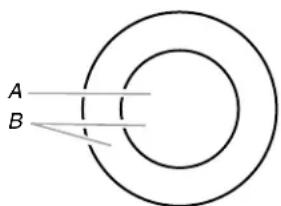 KITCHENAID KCES550HSS - Élement double - 1