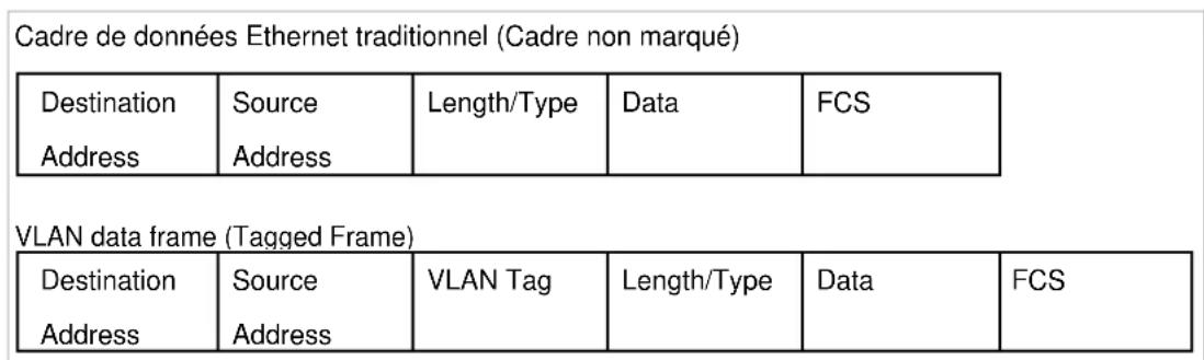 TP-LINK TLSG116E - 802.1Q VLAN - 1