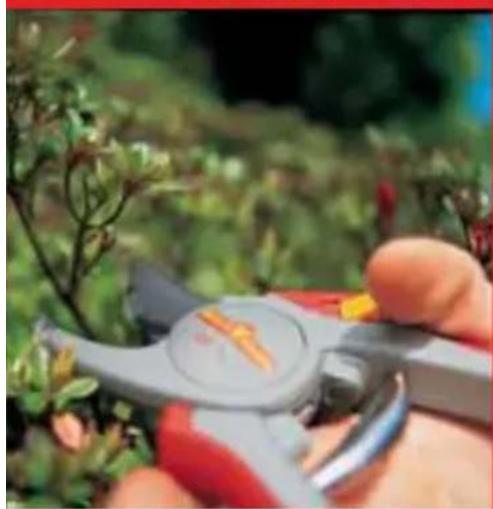 Wolf Garten HSE 65 V 700 - The warranty is reduced to 12 months if the device is used in commercial or rental ventures. - 7