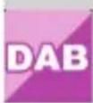 Imperial DABMAN i205 CD - SETTINGS - 6
