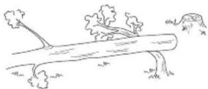 HUSQVARNA 536LiPT5 - Basic safety rules - 2