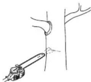 HUSQVARNA 536LiPT5 - Checking chain lubrication - 1