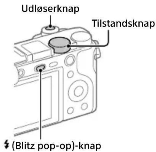 SONY ILCE6100L - Optagelse af stillbilleder - 1