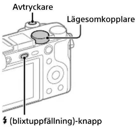 SONY ILCE6100L - Tagning - 1