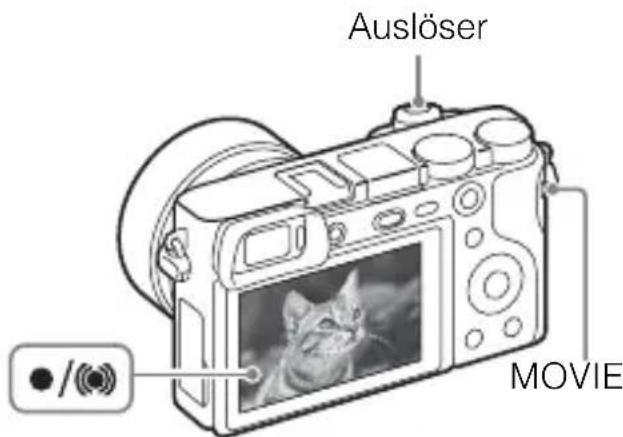 SONY ILCE6000L - Aufnehmen von Standbildern/Filmen - 1